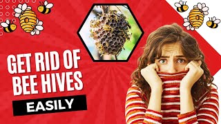 How To Get Rid Of Bee Hives At HomeEasy Steps to Remove Bee Hives Safely [upl. by Oilerua]