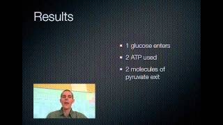 Cellular Respiration Part 1 Glycolysis [upl. by Notgnimer]