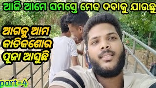 ଆଜି ଆମେ ମେଢ଼ ଦବା ପାଇଁ ଯାଉଛୁ ‼️ chinuvlog vairalvideo odiavlog [upl. by Friede]