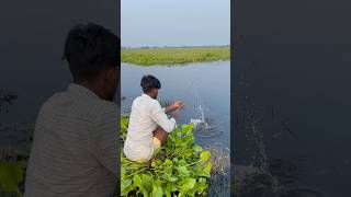 Fish hunting in village lake fishingvideo fishing villagefish village fish villaglifestyle [upl. by Rooke]