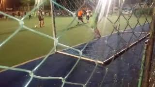 Penalty kick shootout dog defends as goalkeeper [upl. by Yreffeg598]