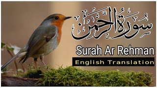 Surah Ar Rehman English Tarjuma ky sath Qari Al Sheikh Abdul Basit Abdul Samad [upl. by Marquita]