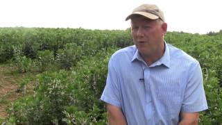 3 top tips to improve soil health [upl. by Michelsen]