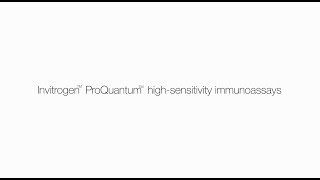 Invitrogen ProQuantum HighSensitivity immunoassays  minimal sample consumption [upl. by Nileek]