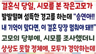 반전신청사연결혼식 당일 시모를 본 작은고모가 자꾸 이상한 말을 하는데 quot승연아 내 기억이 맞다면 이결혼 당장 멈춰야 돼quot고모의 경고에 시모를신청사연사이다썰사연라디오 [upl. by Mcnally]