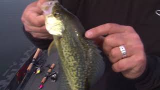 Crappies love crankbaits New Season teaser [upl. by Leede]