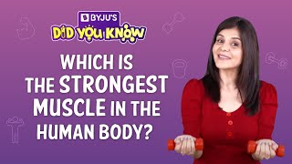 Can you name the Strongest Muscle in the Human Body Shorts [upl. by Victory]