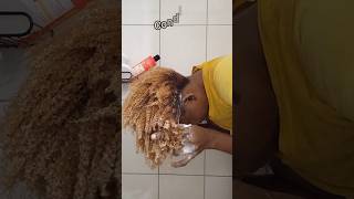 Wash day 1hr 15min natural hair wash washday washdayroutine washdaytip naturalhair curlyhair [upl. by Bennet499]