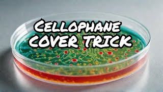 Why Cover a Petri Dish with Cellophane Simple Explanation and Science behind It [upl. by Medora945]