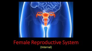 Ovary Prof Dr Md Ashfaqur Rahman [upl. by Bosson]