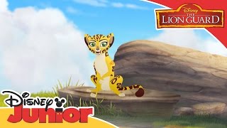 The Lion Guard Character Focus  Fuli  Official Disney Junior Africa [upl. by Echo804]