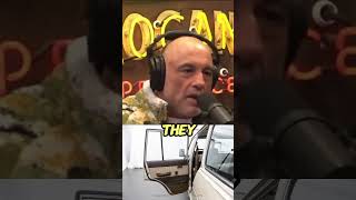 Joe Rogan talking about FJ62 1988 Toyota Land Cruiser viraljoerogan joeroganexperience toyota [upl. by Oremor726]