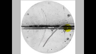 How to identify a positron [upl. by Nigel250]