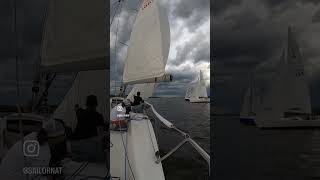 Boat What boat j80 sailboatracing sailing cheekymonkeyracing [upl. by Tema]