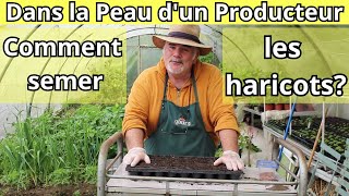 Comment Démarrer Vos Haricots en Intérieur [upl. by Alusru521]