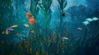 Relaxing Dream Aquarium Fish Tank with Only Water Sounds  Great Screen Saver  3 Hours [upl. by Reave]