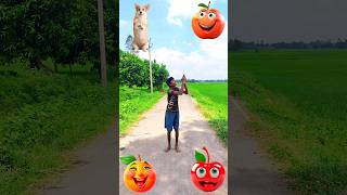 Kutta Billi Bandar Sher from Donald duck face funny VFX magic video shortsfeed funny trending [upl. by Eidas304]