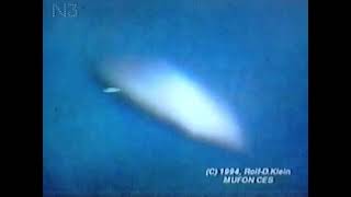 Video The 1971 Rudi Nagora UFO photos [upl. by Durware]