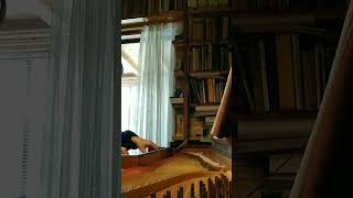 On Clavichord Practice for Bach s Suite BWV813 [upl. by Taite]