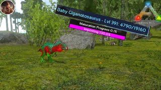 BREEDING AND IMPRINTING GIGA ARK SURVIVAL EVOLVED MOBILE [upl. by Jacobo349]