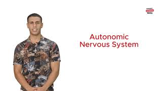 Autonomic Nervous System [upl. by Atinid]