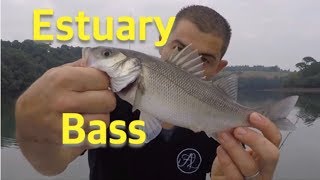 Estuary Fishing for Bass  Tips and techniques for Bream and Bass [upl. by Uuge]