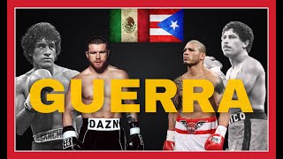 20 Minutes Of Canelo Alvarezs Best Moments In The Ring [upl. by Dekow739]