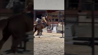 I LOVE THE WAY HE MOVES😍😍  horse equestrain viralvideo westley fyp [upl. by Martreb13]