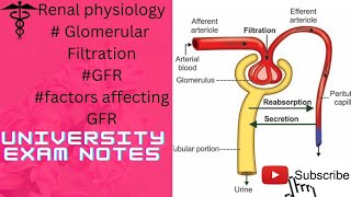 Glomerular FiltrationGFRfactor affecting GFRFiltration membrane [upl. by Eillam]