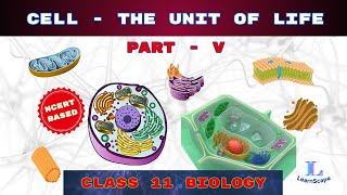 Cell  The Unit Of Life  PART  V class 11 Biology  NCERT  COHSEM  CBSE [upl. by Aierdna]