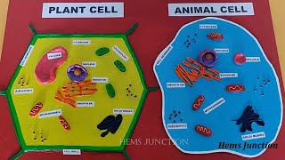 How to make Plant Cell Model amp Animal Cell Model for Science FairSchool Project [upl. by Nojram]