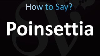 How to Pronounce Poinsettia in British English UK [upl. by Bara]