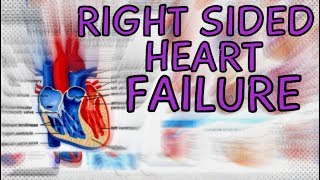 Right Sided Heart Failure  Explained in 2 Minutes Right Ventricle Failure [upl. by Adihsaar977]