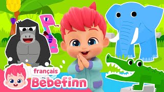 Le Boogie Dans La Jungle  Chanter avec Bebefinn  Bebefinn en français👶Chansons pour Enfants [upl. by Ainig]