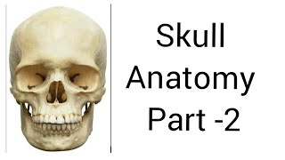 Skull anatomy Part 2  Skull joints  sutures of skull  Tarang academy [upl. by Nerraj914]