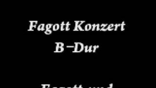 Mozart Fagott konzertă€€1Satz [upl. by Chladek]