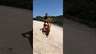 Handmade wooden dragon vehicle 🥰 shorts ytshorts [upl. by Fidelas45]