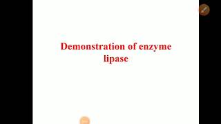 Demonstration of enzyme lipase  Experiment [upl. by Cheng62]