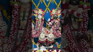 Sri Sri Krishna Balaram Shringar Darshan ✨ [upl. by Eitteb]