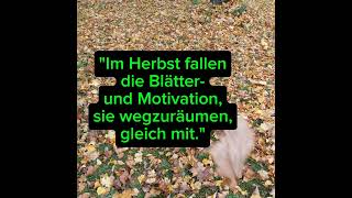 Herbst spruchdestages [upl. by Lynett622]