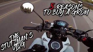 Honda Grom ONE YEAR Review  5 Reasons to BUY a Honda Grom [upl. by Nehgem]