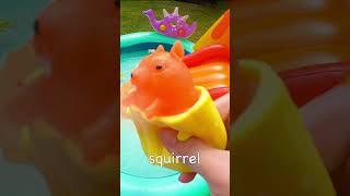 Toy Animal Waterslide Bounce  Learn Animal Names Whale Squirrel Eagle Ray Jellyfish Otter [upl. by Rakso]