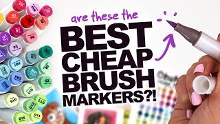 BEST CHEAP BRUSHMARKERS  Ohuhu DualTip BrushChisel Tip Markers  48 set [upl. by Andee]