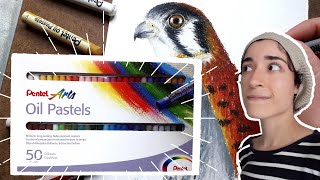 TESTANDO NOVA CAIXA DE GIZ PASTEL OLEOSO 50 CORES DA PENTEL – Pintando Aves Falcão [upl. by Glen]