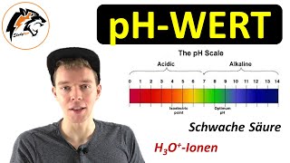 Der pHWert erklärt  NEU [upl. by Ahsoj]