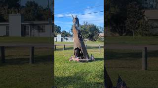 Beautiful Carved Bears in Tree Bald Eagle amp USA Flags Chuluota Florida [upl. by Llennoj]