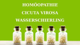 HomÃ¶opathie Cicuta virosa  Wasserschierling [upl. by Cruickshank]