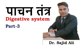 BiologyDigestive SystemSmall Intestine by Dr Sajid Ali [upl. by Llednik139]