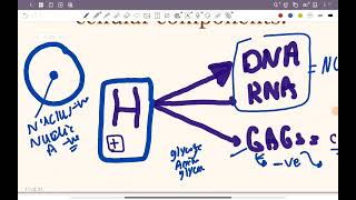 Introduction histology  part 2 staining [upl. by Ahsoyem591]