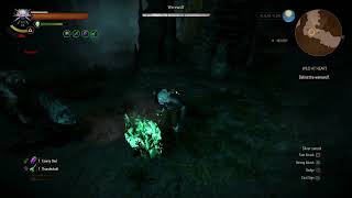 The Witcher 3 Wild Hunt  Niellen Werewolf BossFight Death March [upl. by Amalbena]